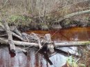 Антон Емелин фотография #24 (источник - https://vk.com/id2230356)