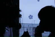 Фотография Кочнева Ромы