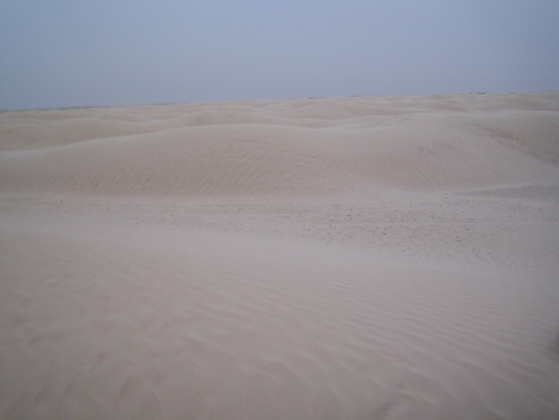 Дмитрий Иванов фотография #38