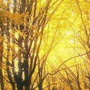 Жанна Щічко фотография #41 (источник - https://vk.com/id133268671)