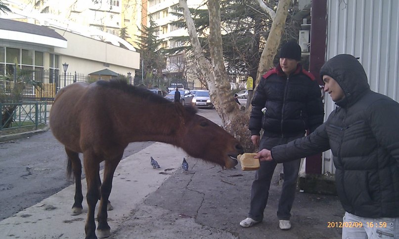 Дмитрий Онищенко фотография #38