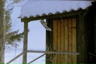 Мария Козяр фотография #29 (источник - https://vk.com/id964893)