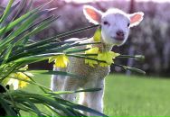 Фотография Латынцевой Оксаны