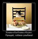 Фотография Каменских Арины