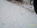 Вікуля Ніколо фотография #11 (источник - https://vk.com/id157701751)
