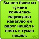 Сергій Кульгавюк фотография #13 (источник - https://vk.com/id164952687)