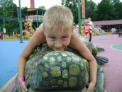 Фотография Журавлева Андрея