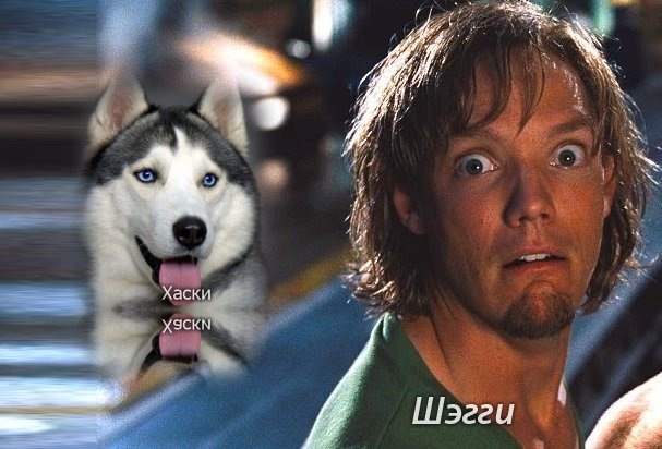 Владик Голубцов фотография #4