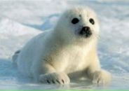 Фотография Солотоповой Юлии