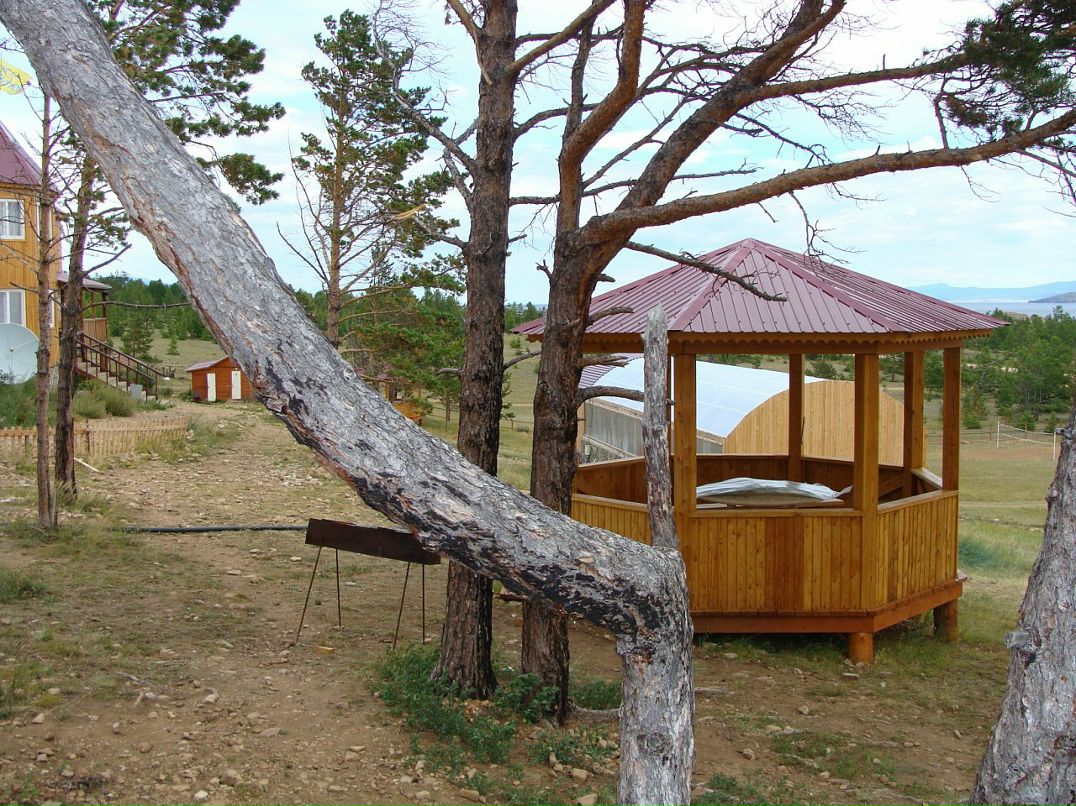 Игорь Богадевич фотография #39