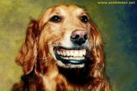 Фотография Санина Александра