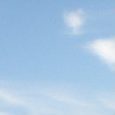 Діана Король фотография #23 (источник - https://vk.com/id53412183)