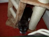 Антон Штанке фотография #49 (источник - https://vk.com/id937277)