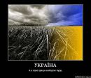 Іван Нечитайло фотография #4 (источник - https://vk.com/id29184553)