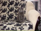 Фотография Лебедевой Юлии