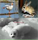 Фотография Захаровой Аннет