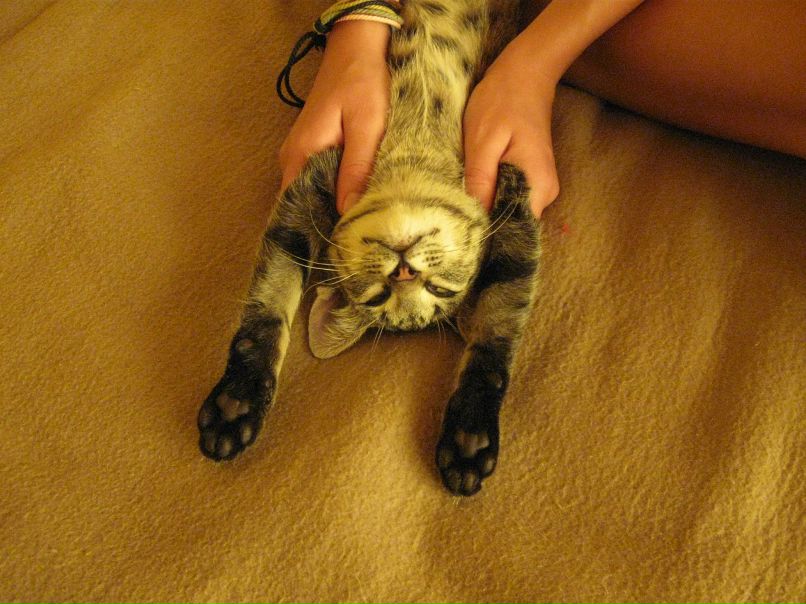 Катя Fr фотография #25