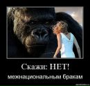Олег Андрейців фотография #31 (источник - https://vk.com/id113450698)