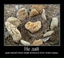 Олег Андрейців фотография #42 (источник - https://vk.com/id113450698)