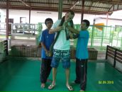 Алексей Латыпов фотография #35 (источник - https://vk.com/id3498463)