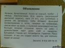 Фотография Злобиной Анастасии