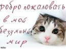 Фотография Атажановой Адели