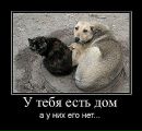 Владимир Амплеев фотография #9 (источник - https://vk.com/id10189808)
