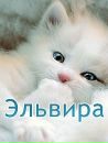Фотография Камышевой Эльвиры