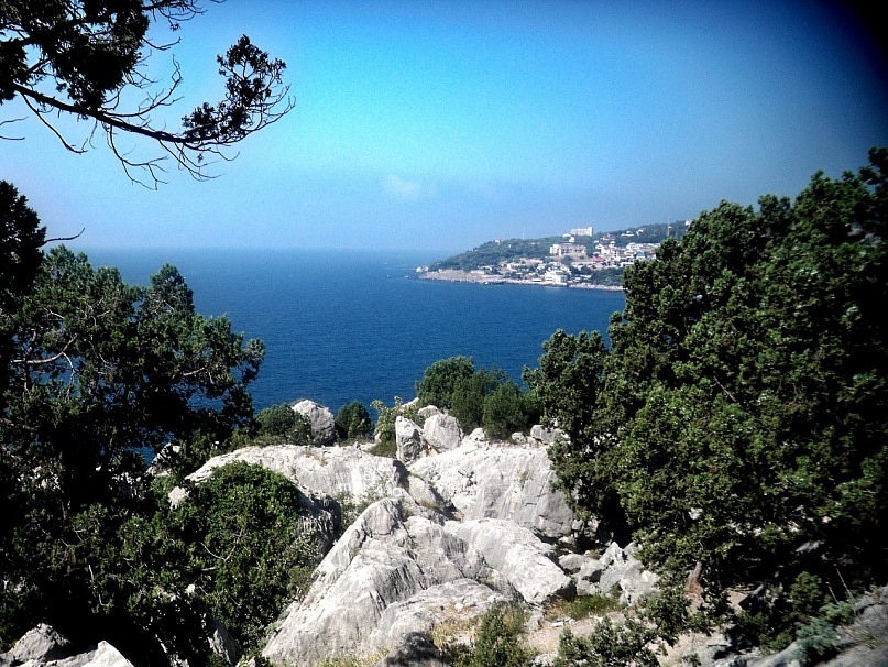 Kris Hofman фотография #34