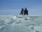 Фотография Шерстобитов Степан