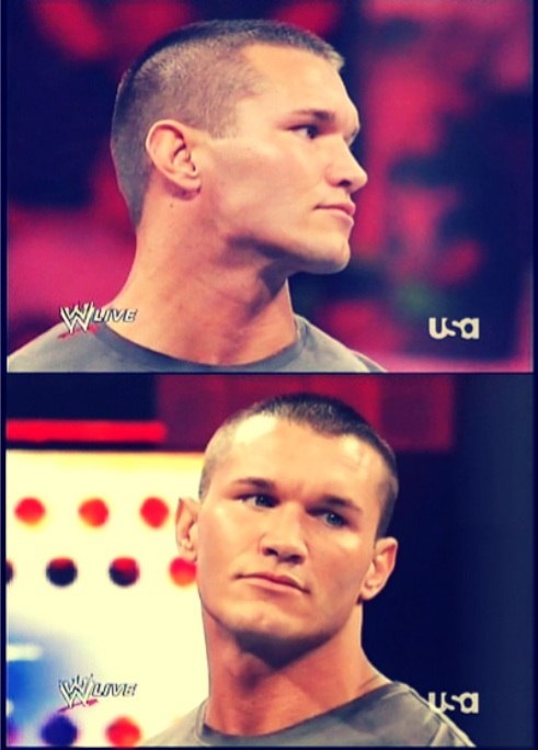 Randy Orton фотография #30