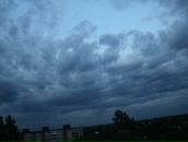 Фотография Боровских Павла