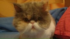 Фотография Вадбольской Виктории