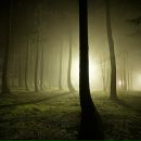 Фотография Ершова Викусик