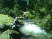 Анастасія Настич фотография #16 (источник - https://vk.com/id38970621)