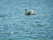 Юрій Міняйло фотография #42 (источник - https://vk.com/id81205660)