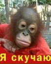 Юрій Москаленко фотография #31 (источник - https://vk.com/id97239572)