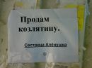 Діана Матійчук фотография #27 (источник - https://vk.com/id56933076)