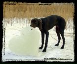 Юлія Яковішак фотография #45 (источник - https://vk.com/id43154716)