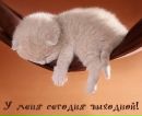 Фотография Таня Русская