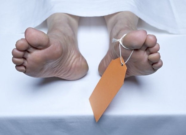 Кэлен Амнелл фото №23