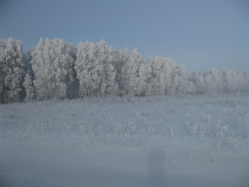 Роман Кубышкин фотография #45