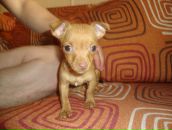 Фотография Мироновой Татьяны