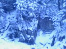 Анатолій Шведик фотография #42 (источник - https://vk.com/id153085149)