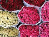 Ольга Макеева фотография #2 (источник - https://vk.com/id1595663)