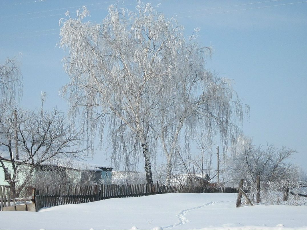 Дмитрий Козлов фотография #42