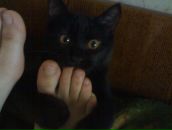 Дмитрий Агишев фотография #40 (источник - https://vk.com/id26537607)