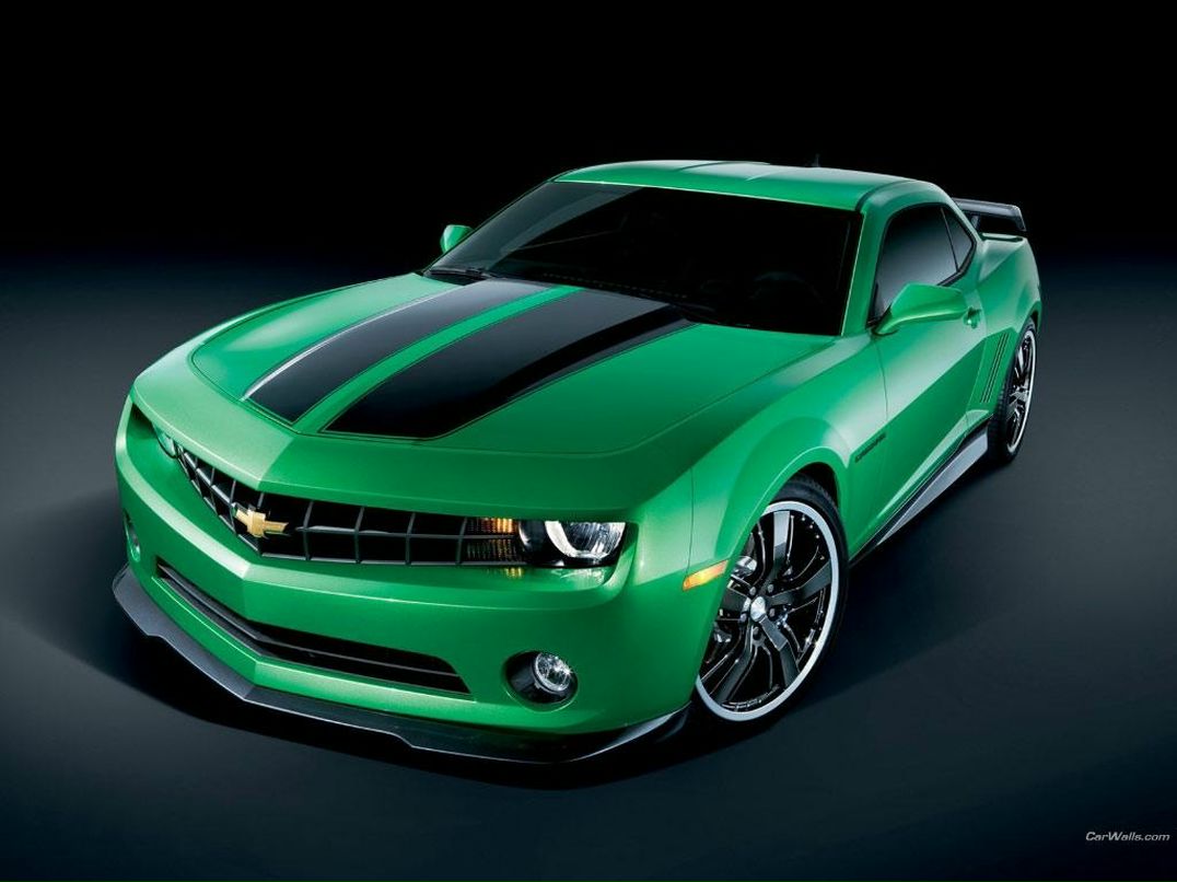 Роберт Бауэр фотография #14