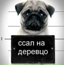 Фотография Коваленко Ильи