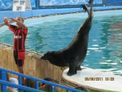 Інна Мондич фотография #21 (источник - https://vk.com/id95239128)